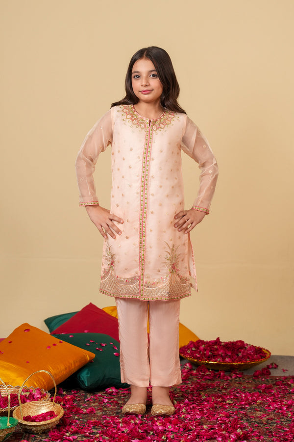 Blush Bloom Organza Suit – Elegant Pastel Festive Wear for Girls