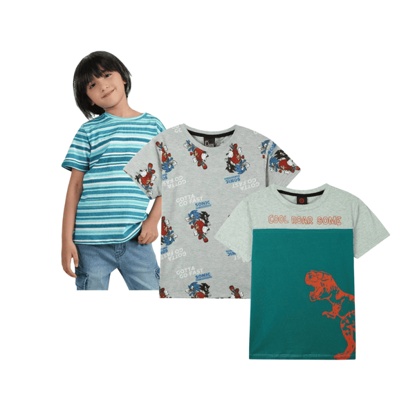 Combo of 3 Boys T shirts Stripe and Dino