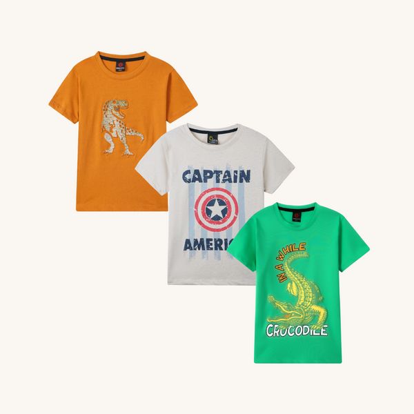 Combo of 3 Boys T shirts